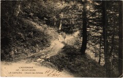 Le Mont-Dore Le Capucin - Chemin des Artistes à Mont-Dore