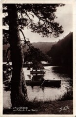 Un Coin du Lac Pavin