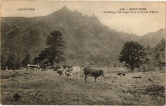 L'Auvergne - Mont-Dore - Le Sancy Paturage dans la Vallée d'Enfer à Mont-Dore