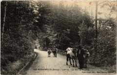 Les Echarmeaux Les Bois de Propieres