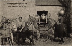 Scenes de la Vie Normandie - Visite a la Ferme