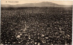 Plaine de la Crau
