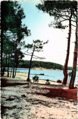 Landes Pittoresques Le Courant France -
													40 Landes
												
