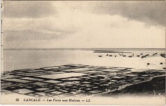 Cancale Les Parcs aux Huitres à Cancale