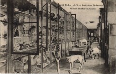 Redon Institution Saint-Sauveur , Galerie d'historie naturelle à Redon