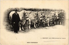 Paris Concours Agricole prix d'Honneur