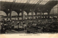 Paris Concours Agricole les animaux