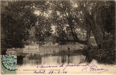 Creteil Bords de la Marne-L'Arbre penohe France