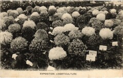 Paris Expo d'horticulture