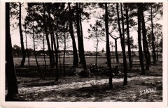 Boucau les Bains La Foret pres du Village