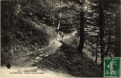 Mont Dore Le Capucin, Chemin des Artistes France -
																					63240 Mont-Dore
																			