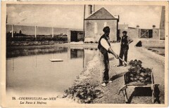 Courseulles Les Parcs a Huitres France