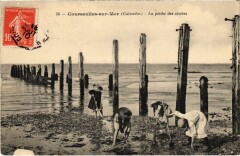 Courseulles La peche des crabes France