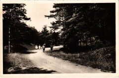 Sables-d'Or-les-Pins Ronde des Bois d'Amour