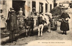 Folklore Attelage de Char en Auvergne -
													63 Puy de Dôme
												