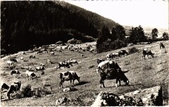 Les Paturages du Haut-Jura -
													39 Jura
												
