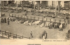 Paris Concours Agricole