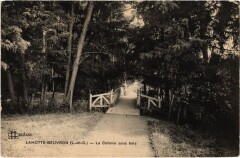 La Motte-Beuvron La Colonie sous bois France -
													41 Loir et Cher
												