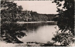 Foret de Troncais - L'Etang de Saloup -
													03 Allier
												
