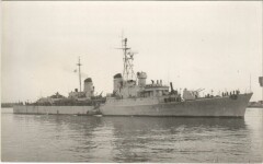Destroyer - Impetuoso Class Ships