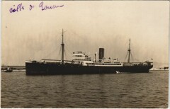 Steamer Ships