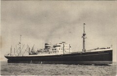 M.V. Dalerdijk Ships