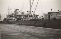 Vojvodina - Cargo Ship Ships