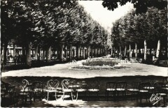 Vichy Les Allees ombargees dans les Parcs des Sources à Vichy