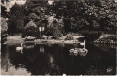 Vichy Bassin des Cygnes à Vichy