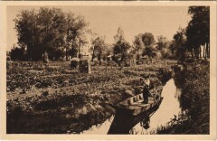 Amiens Les Hortillonnages à Amiens