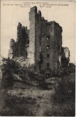Chateau de Montaigu-Le-Blanc Ruines -
													03 Allier
												