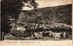 Le Mont-Dore Vue du Chemin du Capucin à Mont-Dore