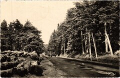 Saint-Antheme Route de Montbrison