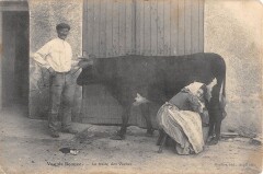 Vue De Beauce La Traite Des Vaches / Scene Agriculture -
													28 Eure et Loir
												