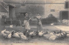 Vue De Beauce Repas Des Poules / Scene De Basse Cour / Volaille -
													28 Eure et Loir
												