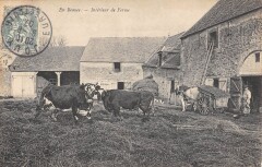 En Beauce Interieur De Ferme / Vaches -
													28 Eure et Loir
												