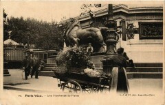 Paris Vecu. Une marchande de Fleurs