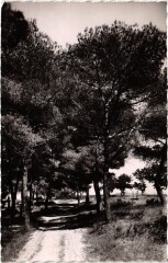 Greasque Sous Bois sur le Chemin de la Chapelle
