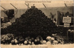 Paris Expo d'horticulture