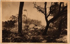 Une Ferme dans les Landes France