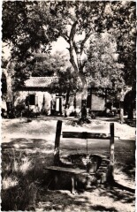 Les Landes Pittoresques Maison Abbe Bordes France -
													40 Landes
												