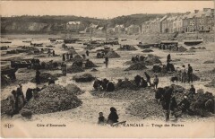 Cancale Triage des Huitres à Cancale