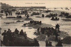 Cancale Triage des Huitres à Cancale