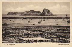 Cancale Les parcs a huitres à Cancale