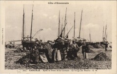 Cancale Triage des Huitres à Cancale