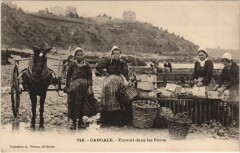 Cancale Travail dans les Parcs à Cancale