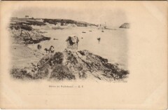Havre de Rotheneuf