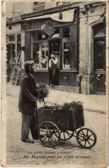 Carte postale ancienne Paris Petits Metiers du Mouron pour les p'tits oiseaux
                                
