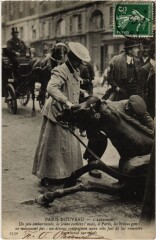 Paris l'Accident Transport