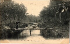 Une Vue des Landes, Marensin France